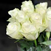15 белых метровых роз (100 см)